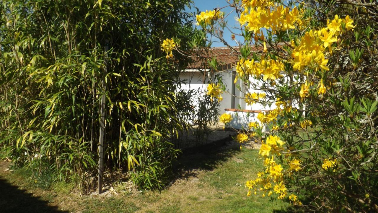 Вілла Breesfalt Gite Accomodation Maisonnais-Sur-Tardoire Екстер'єр фото